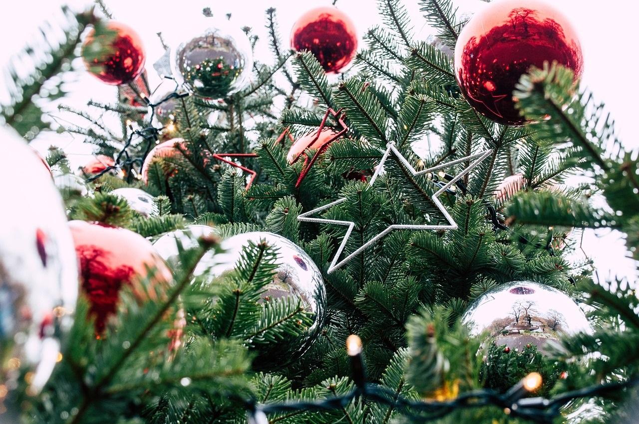 Christmas tree 7637365 1280