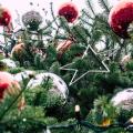 Christmas tree 7637365 1280