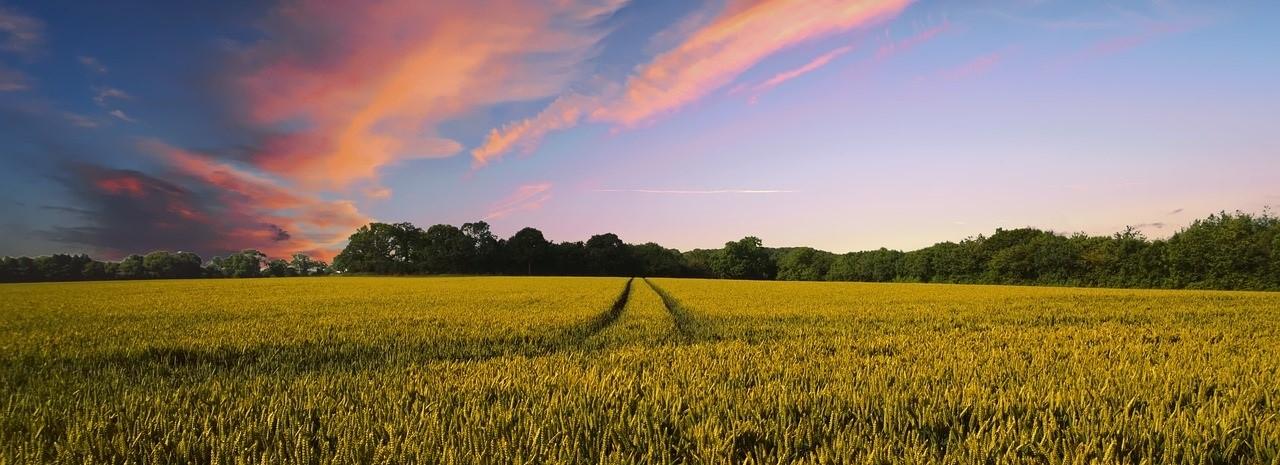 Countryside 2326787 1280