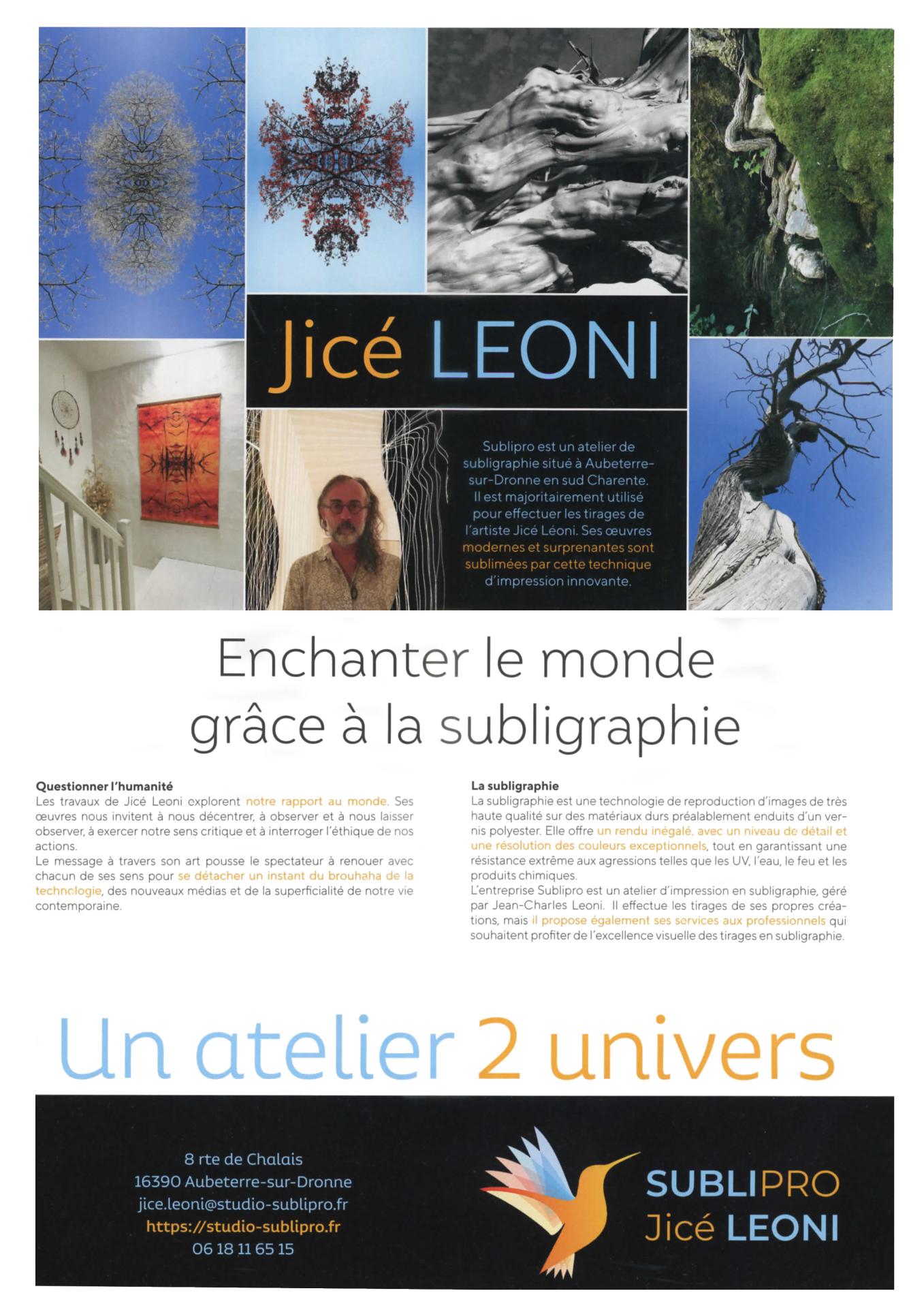 Flyer 4
