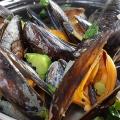 Moules frites